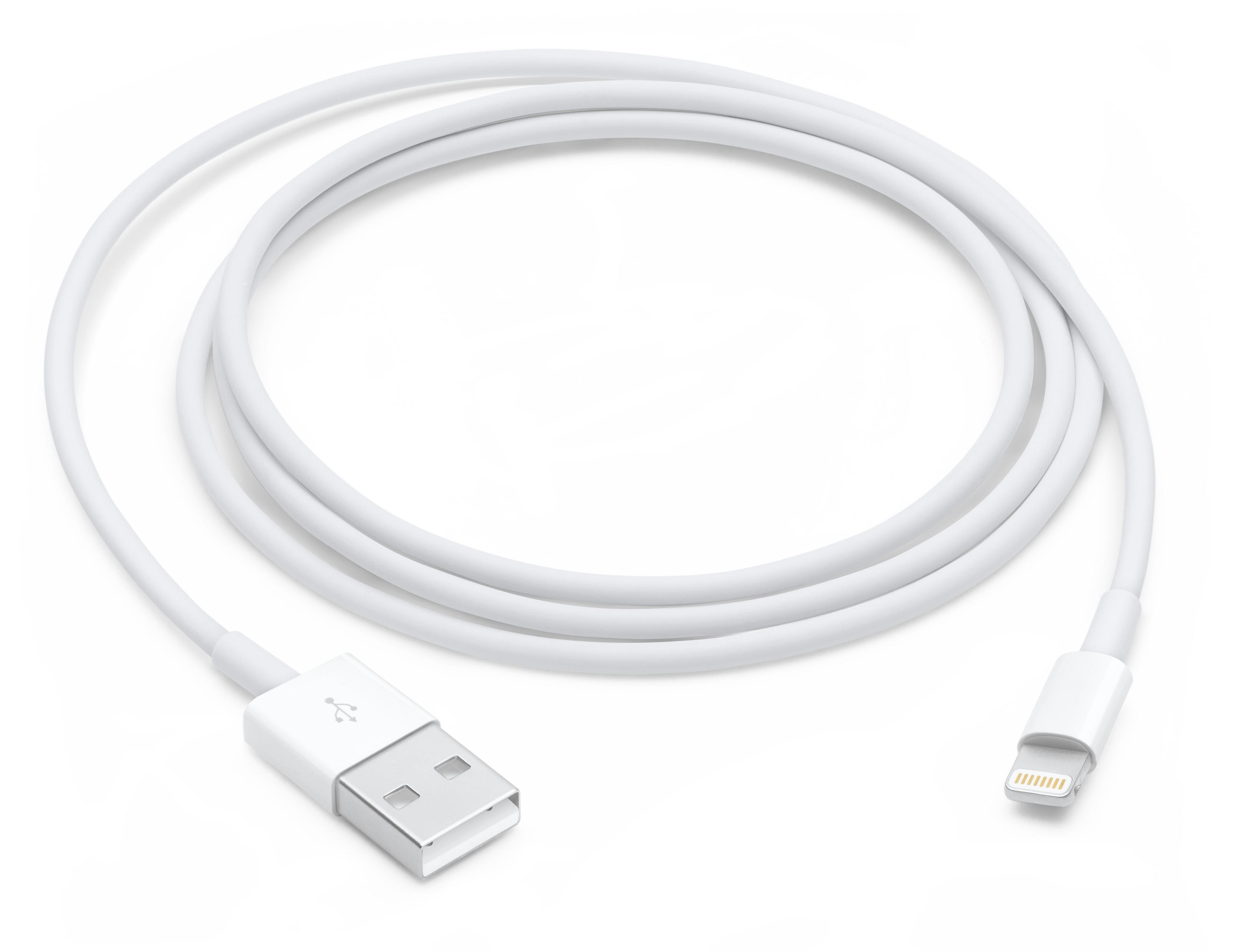 APPLE Câble de charge lightning - Blanc pas cher 