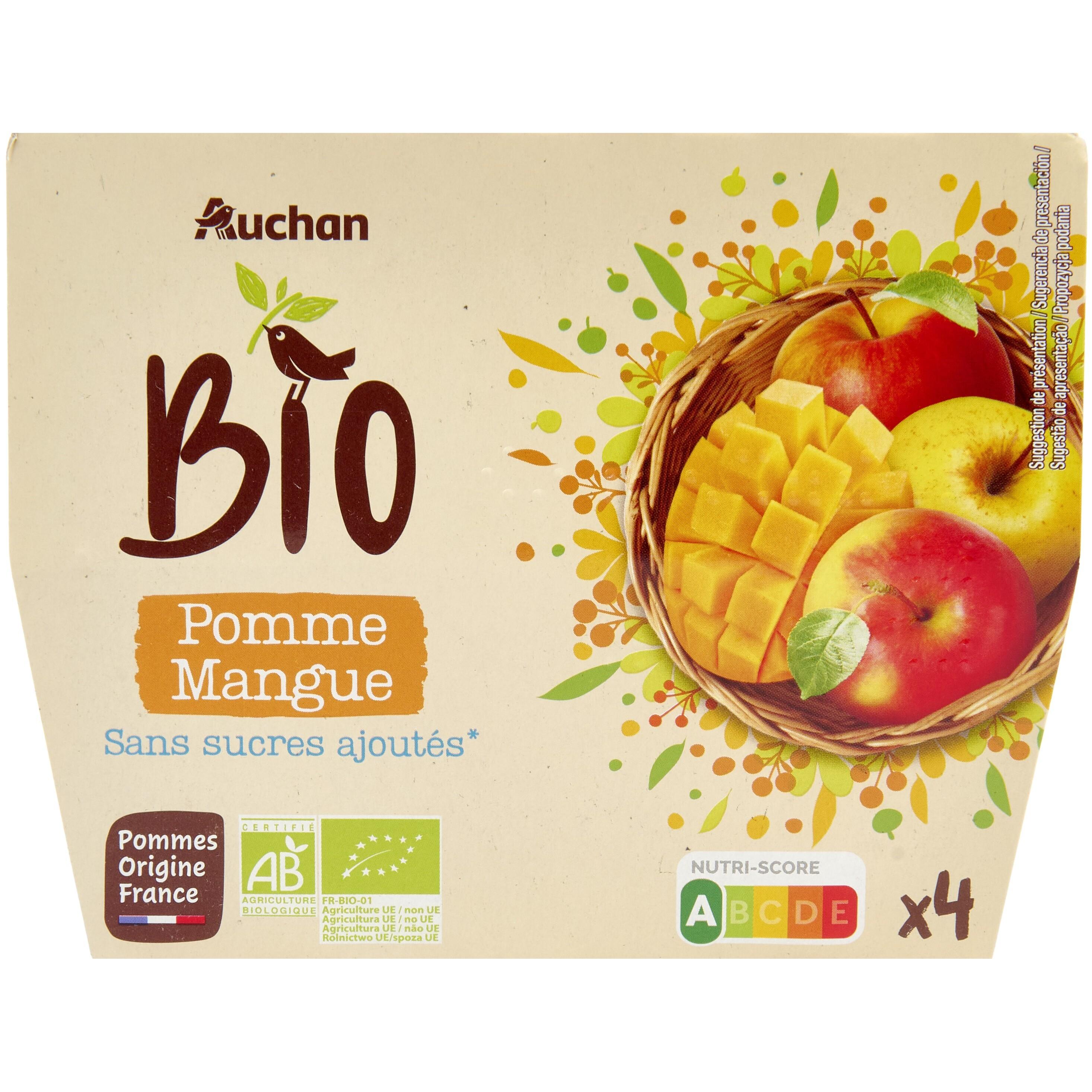 Purée de mangue Bio 90g