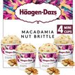 HAAGEN DAZS Mini pot de crème glacée macadamia collection 4 pièces 324g