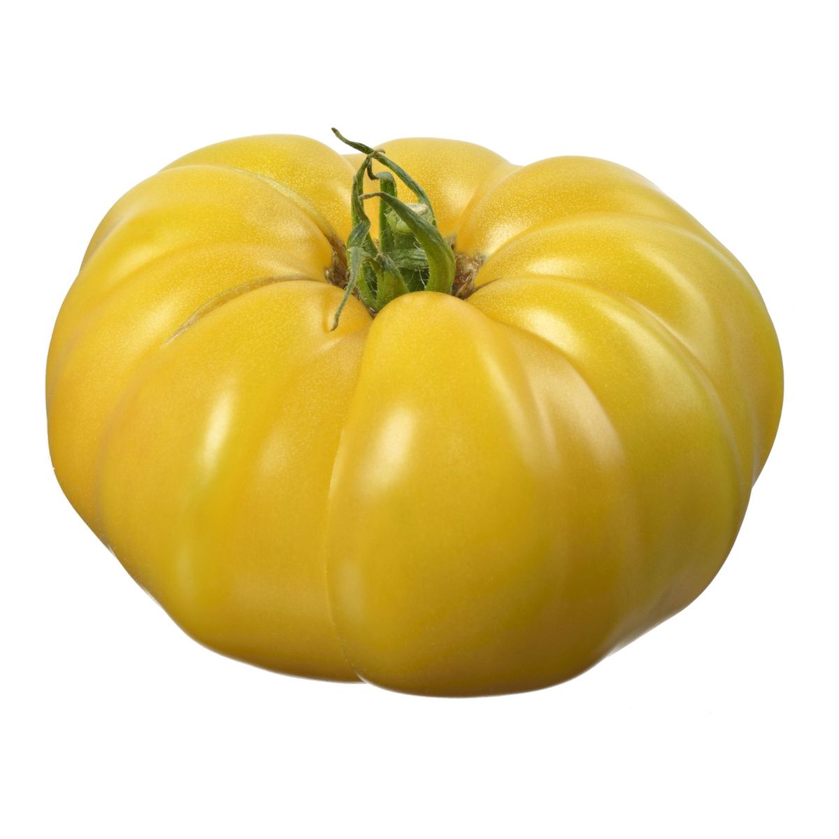 Tomate ancienne côtelée jaune 1 pièce