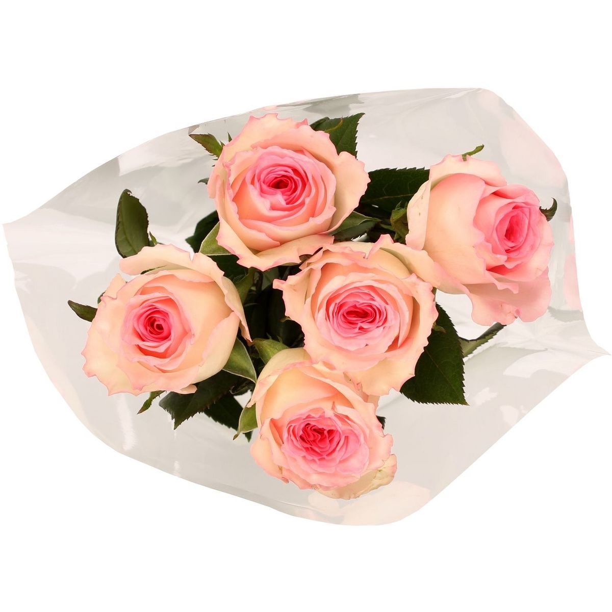 FLEURS Bouquet de 5 roses Mandala 5 roses 1 pièce