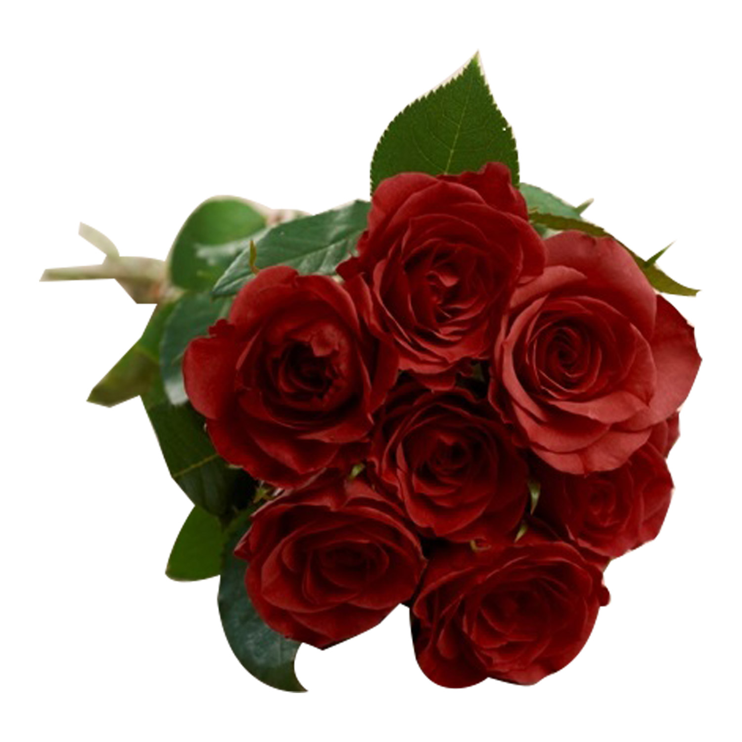 FLEURS Bouquet de 7 roses rouges 1 bouquet pas cher - Auchan.fr