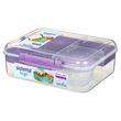 sistema boite bento to go 1.65l