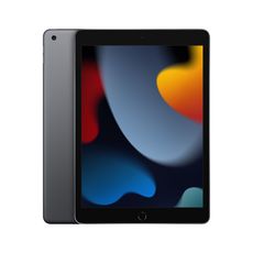 APPLE iPad (2021) 10.2 pouces - 256 Go - Gris sidéral