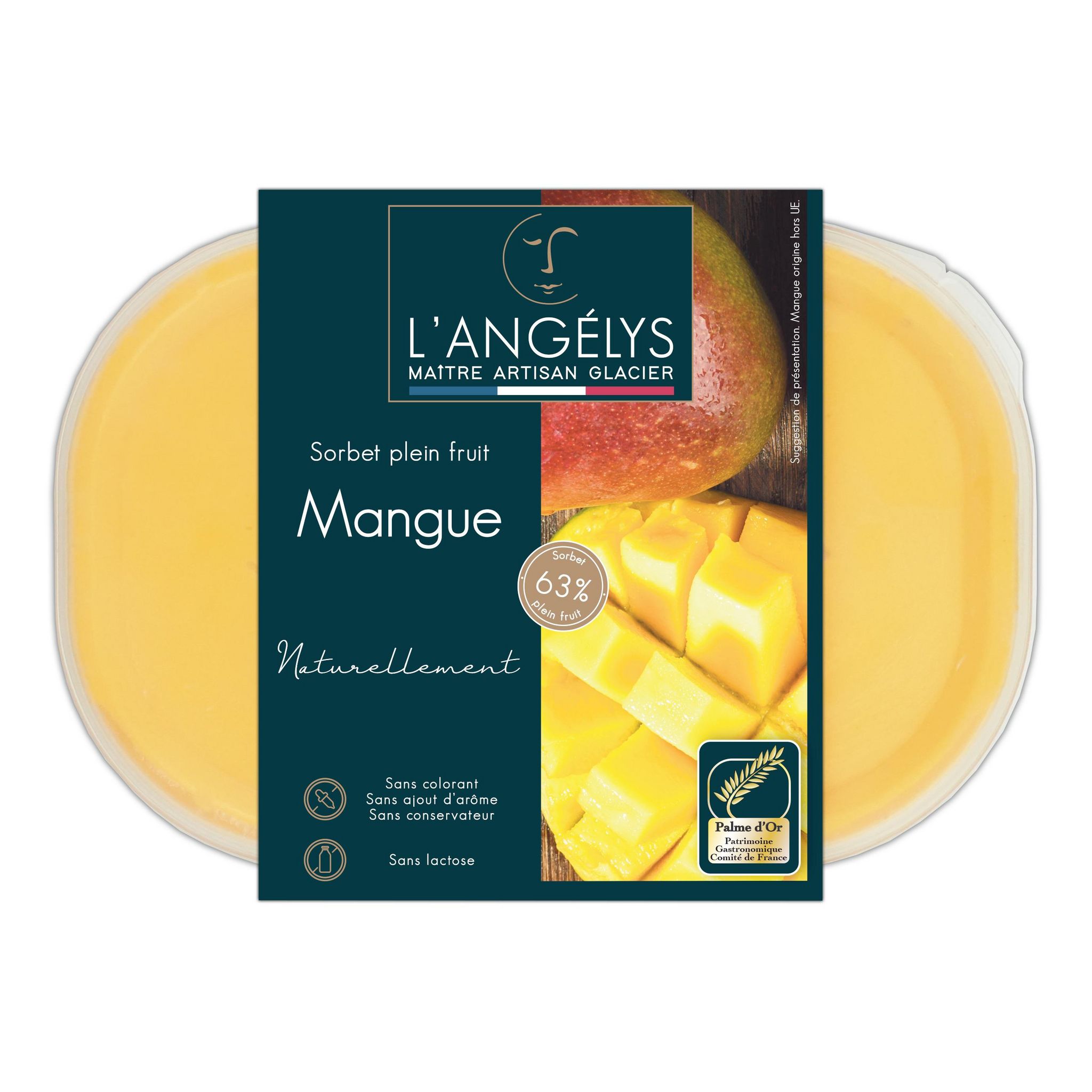 Sorbet Mangue, plein fruit et ses morceaux