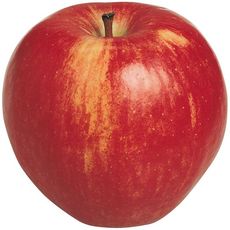 Pomme Gala de l'Avesnois 2kg