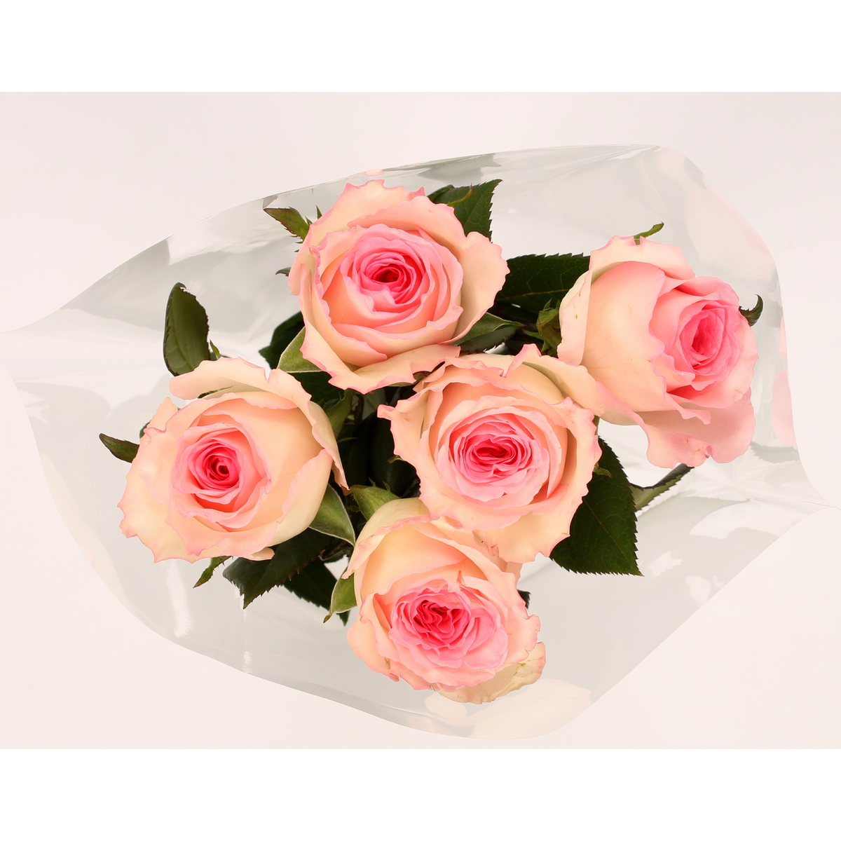 FLEURS Bouquet de 5 roses jumilia 1 bouquet