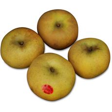 Pommes Belchard 4 pièces 4 pièces