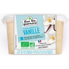 Crème glacée à la vanille bio 310g
