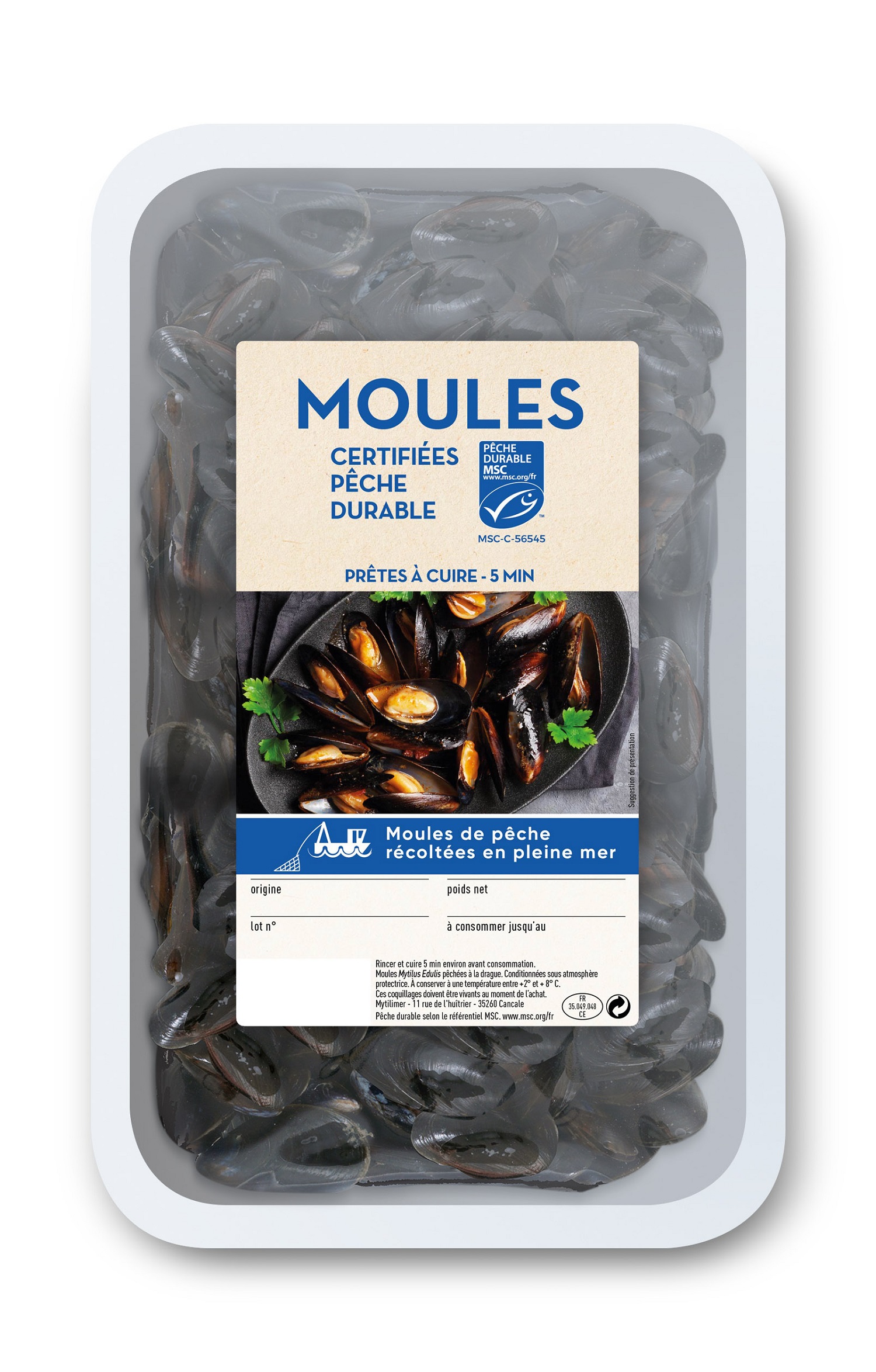 La moule : caractéristiques de ce mollusque