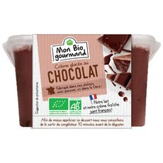 Crème glacée au chocolat bio 310g