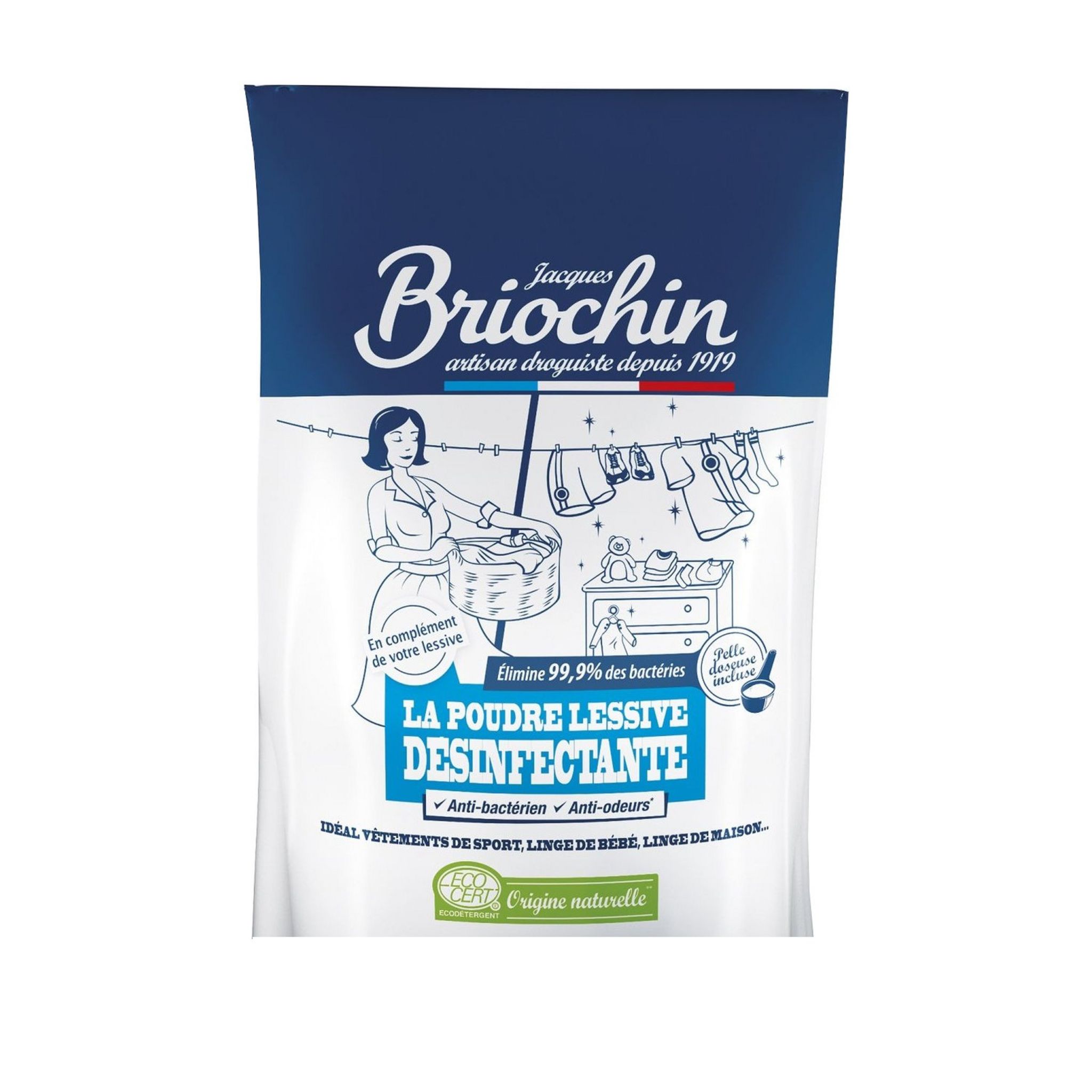 BRIOCHIN Lessive en poudre désinfectante 500g pas cher 