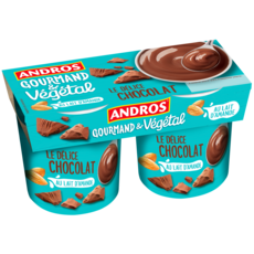 ANDROS Gourmand & Végétal - Dessert au lait d'amande et au chocolat 2x120g