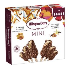 HAAGEN DAZS Mini bâtonnet glacé caramel vanille 6 pièces 220g