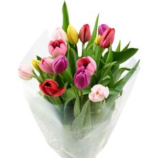Fleurs - Bouquet de 15 tulipes arlequin 1 bouquet 