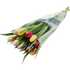 Fleurs - Bouquet de 10 tulipes arlequin