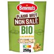 BENENUTS Plaisir Brut Cacahuètes bio non salées 250g
