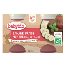 BABYBIO Petit pot dessert banane fraise menthe bio dès 6 mois 2x130g