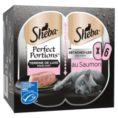 SHEBA Perfect portion barquettes terrine pâtée de saumon pour chat 6x37,5g