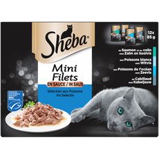 Felix Sachets Repas Effiles En Gelee Viandes Poissons Pour Chat 44x100g Pas Cher A Prix Auchan