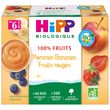 HiPP HIPP Petit pot dessert pommes bananes fruits rouges bio dès 6 mois