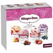 HAAGEN DAZS Mini pot de crème glacée fruit collection obsessions 4 pièces 330g