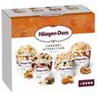 HAAGEN DAZS Mini pot de crème glacée caramel collection 4 pièces 365g