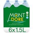 MONT DORE Eau de source de montagne plate d'Auvergne 6x1,5l