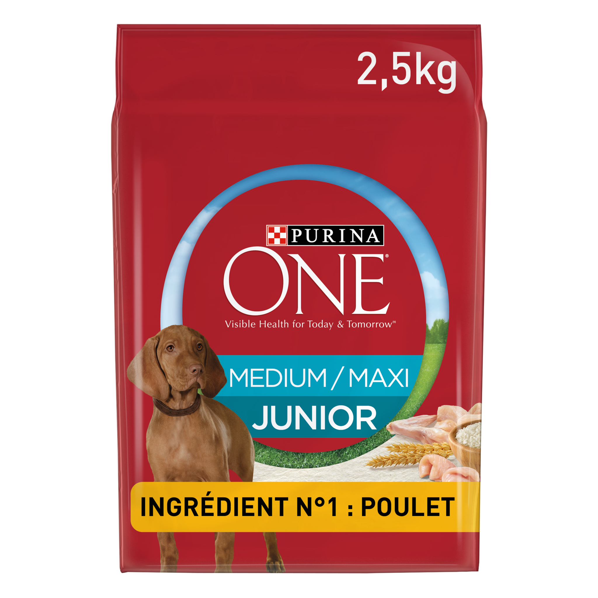 PURINA ONE Promo Lot de 2 croquettes à la dinde et riz - Pour chien peu  actif ou en surpoids - 2x 1,5 kg - Cdiscount Animalerie