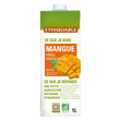 ETHIQUABLE Nectar de mangue bio Pérou Madagascar brique 1l
