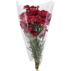 FLEURS Bouquet de 10 œillets rouges 1 bouquet