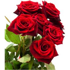 FLEURS Bouquet de 7 roses rouges 1 bouquet