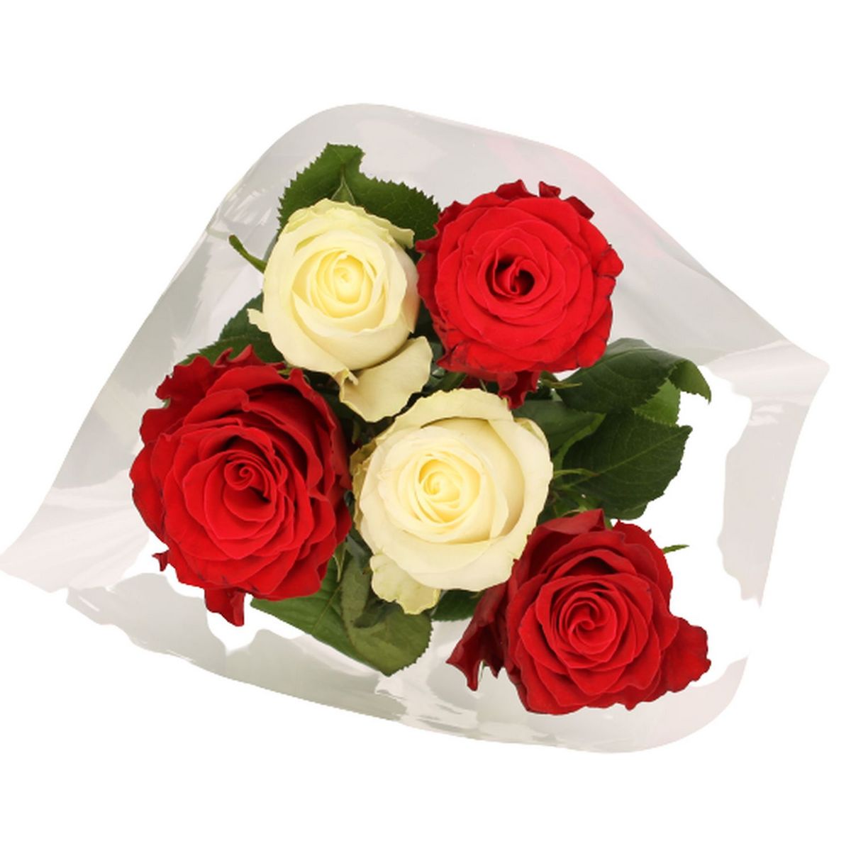 FLEURS Bouquet de 5 roses arlequin 1 bouquet