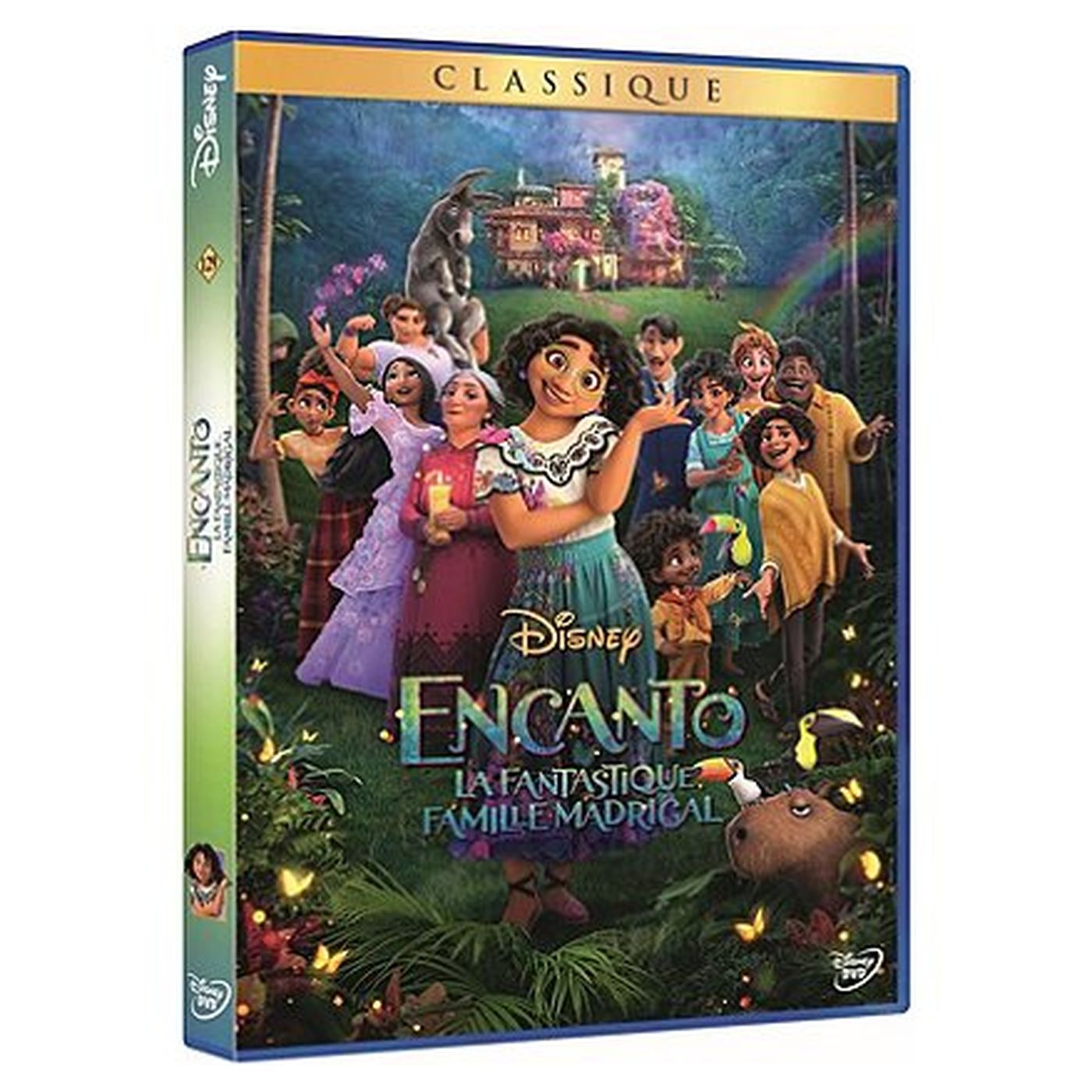 Encanto : La fantastique famille Madrigal DVD pas cher 