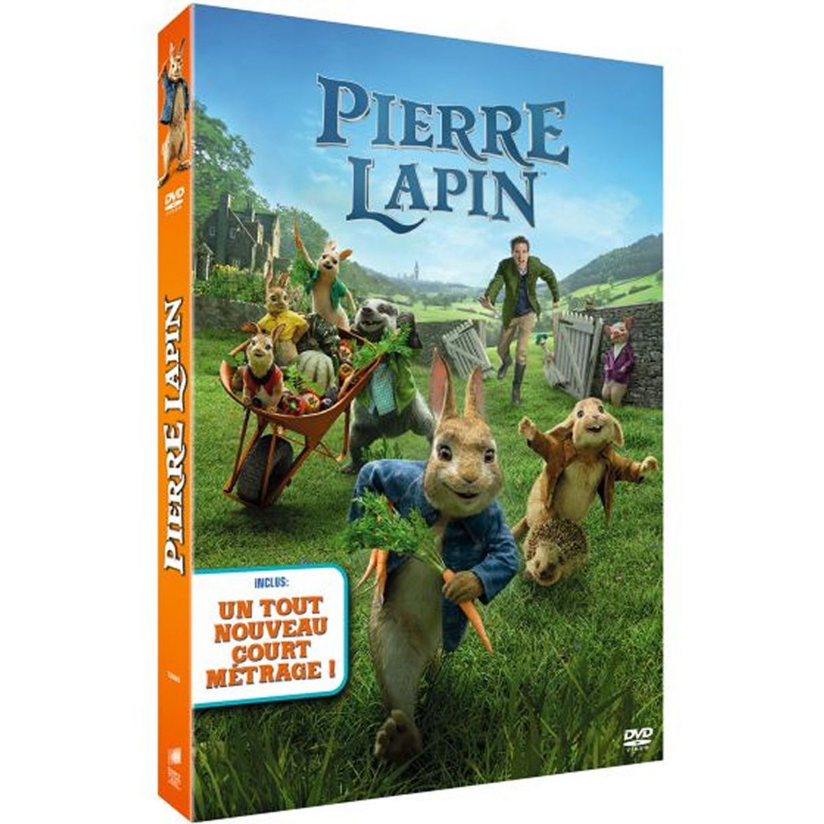 Pierre Lapin Dvd Pas Cher Auchanfr