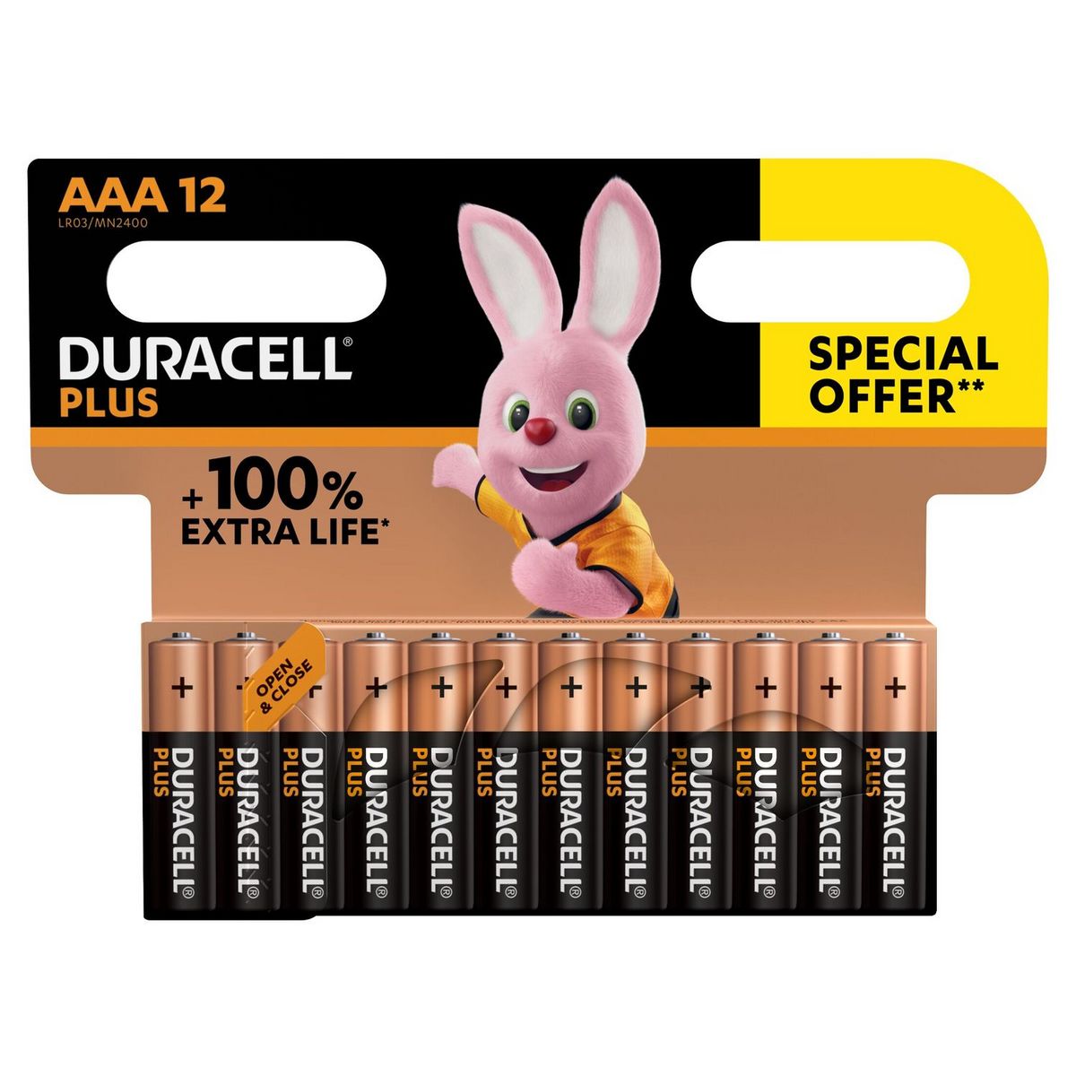 DURACELL Piles Plus AAA x12 OS