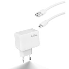 QILIVE Chargeur pour téléphone Micro USB - Blanc