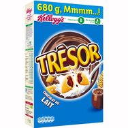 Tresors choco roulette ice cream