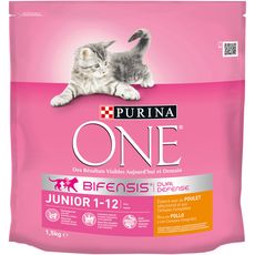 Chaton Vos Produits Pas Chers A Prix Auchan