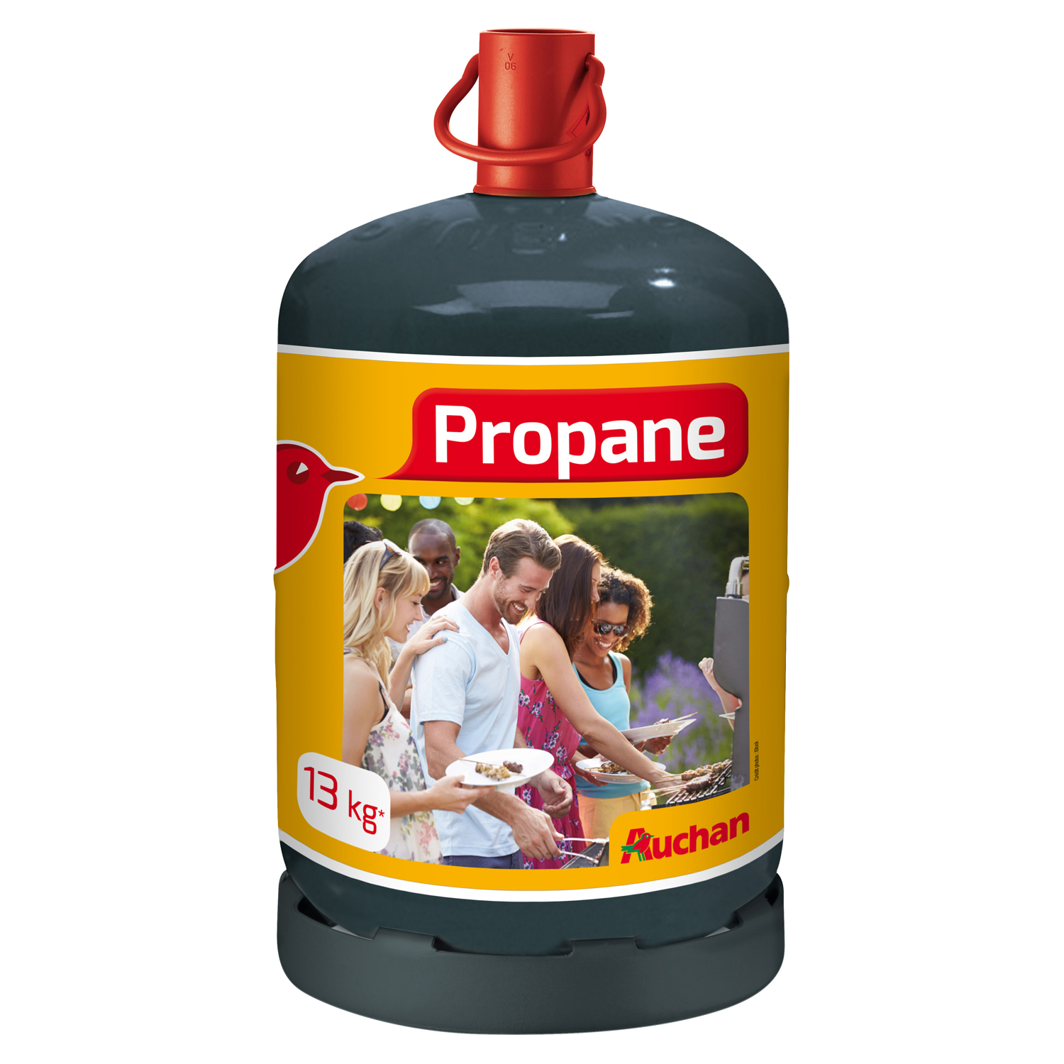 AUCHAN Charge de gaz propane 13kg 1 pièce pas cher 