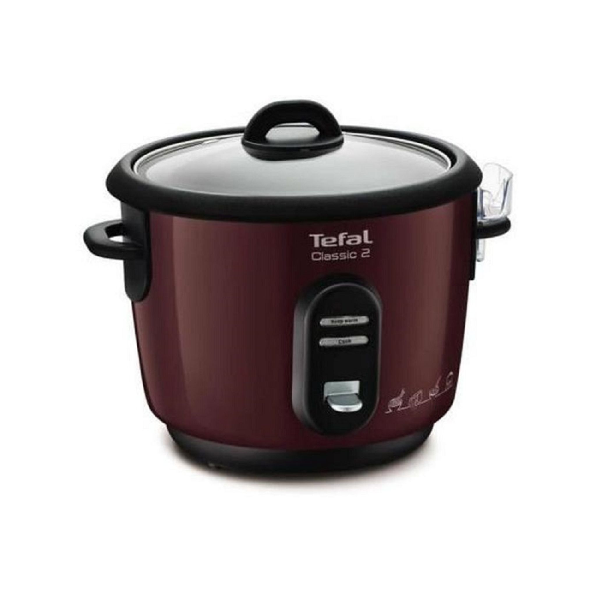 TEFAL Cuiseur à riz et à vapeur RK1005 pas cher 