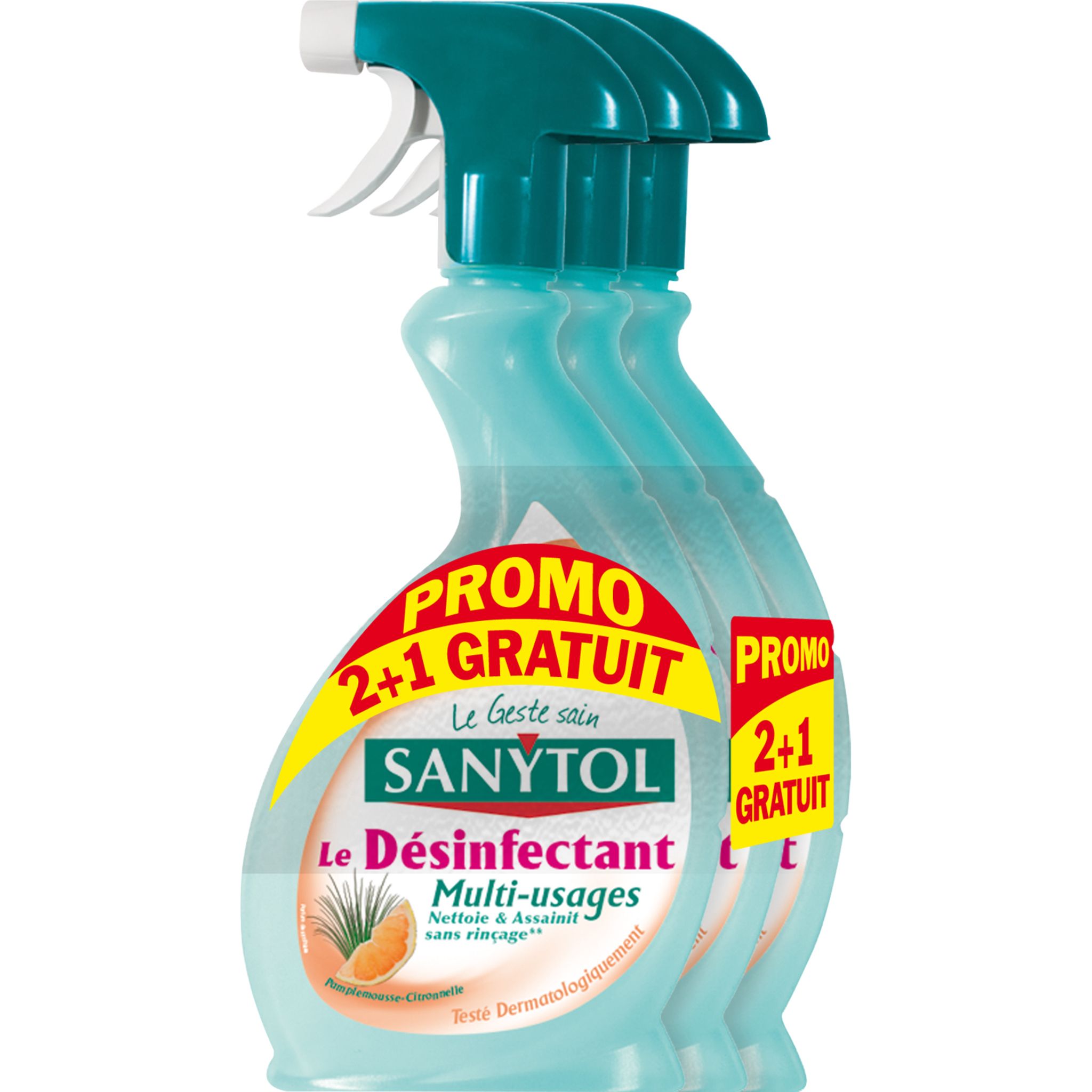 SANYTOL Désinfectant multi-usages antiallergènes - 500 ml - Cdiscount Maison