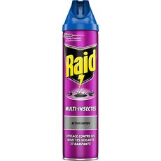 RAID Raid Insecticide multi-insectes 600ml 600ml