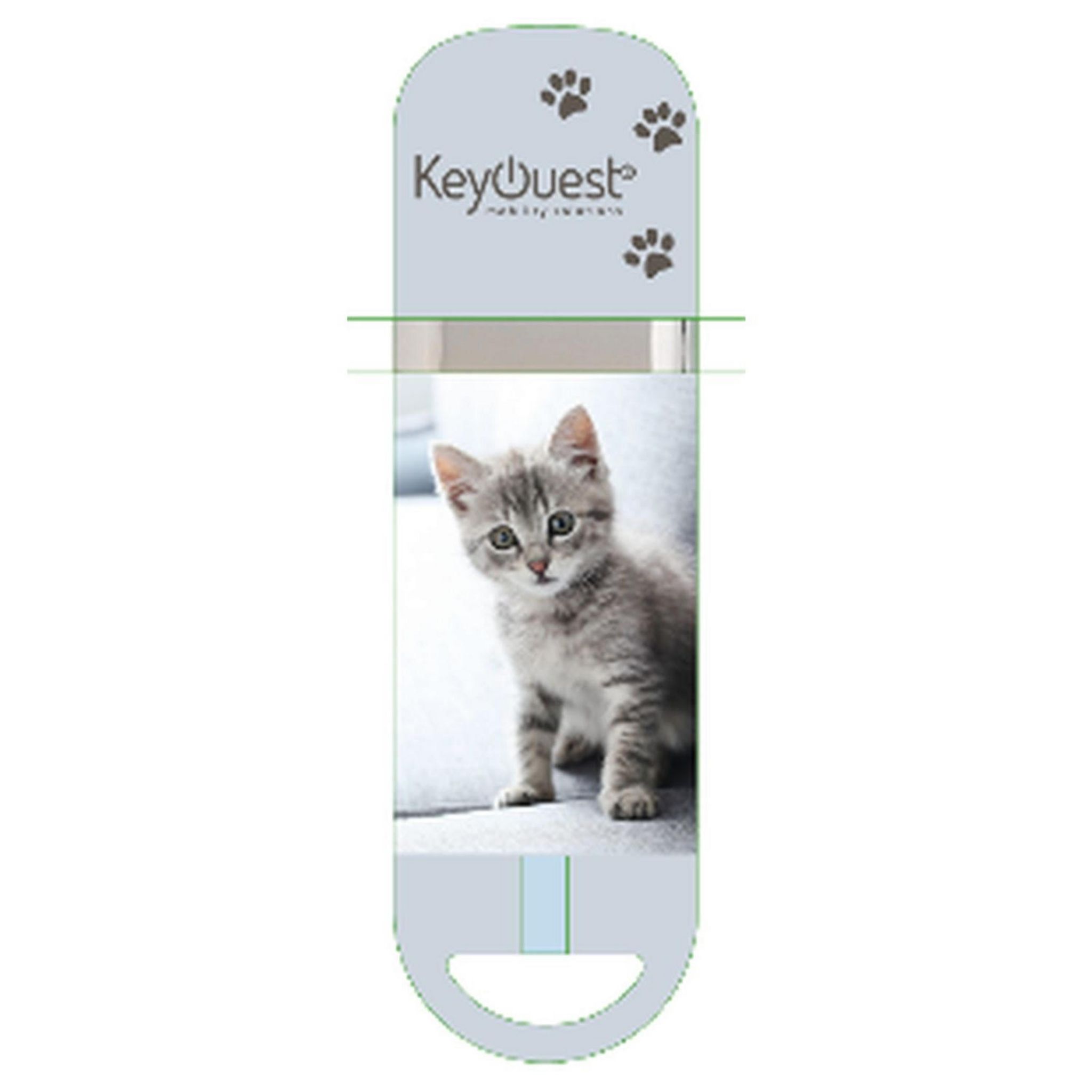 Cle usb patte de chat bleue, capacité 32 go, livraison gratuite et rapide 2  à 3 jours. Entreprise Française.