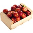 Nectarines blanches plateau 2kg