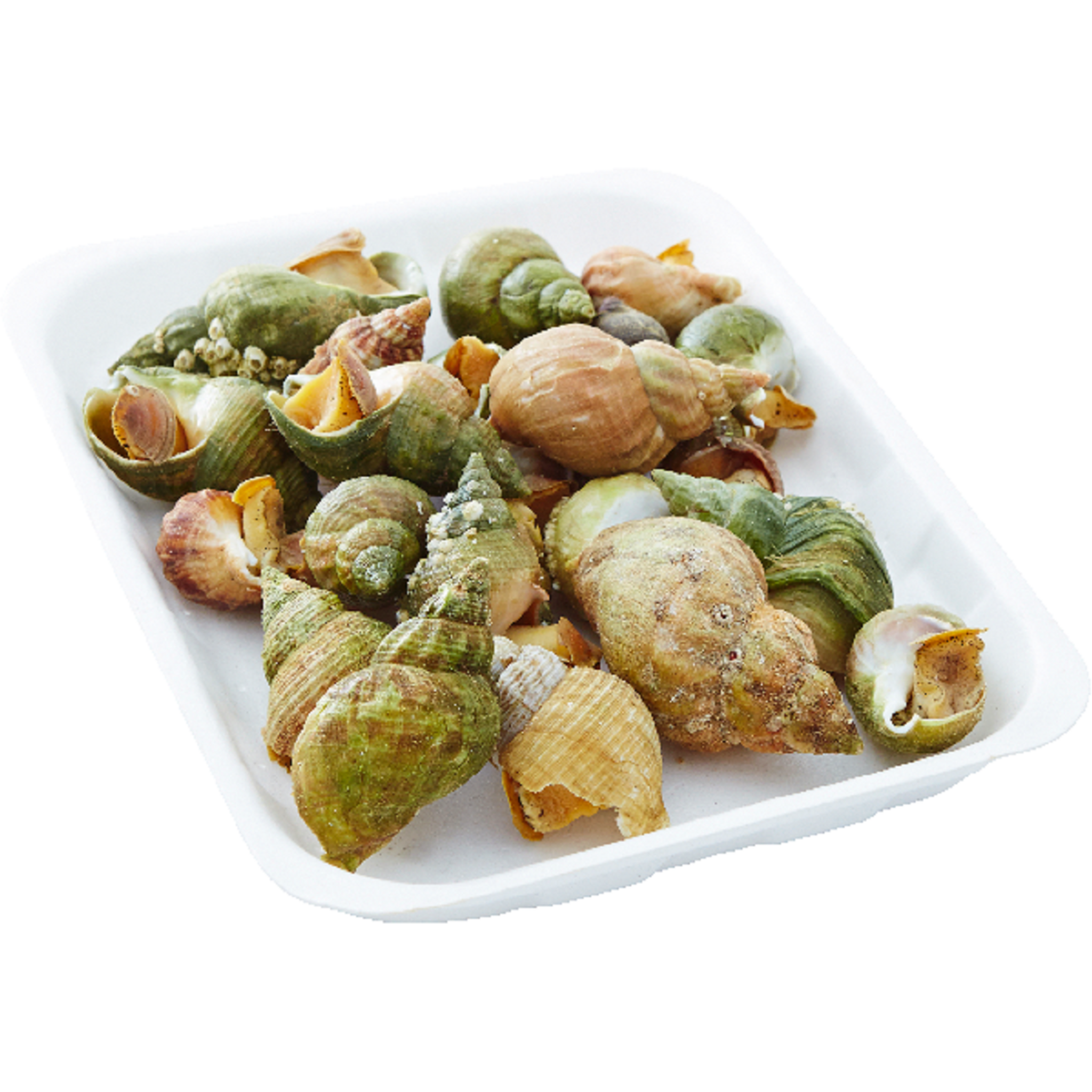 Combien De Bulots Dans 1 Kg Bulots cuits barquette 500G pas cher - Auchan.fr