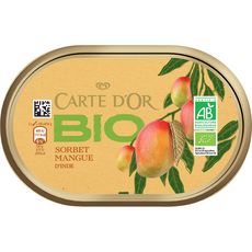 CARTE D'OR Sorbet bio mangue d'Inde 450g