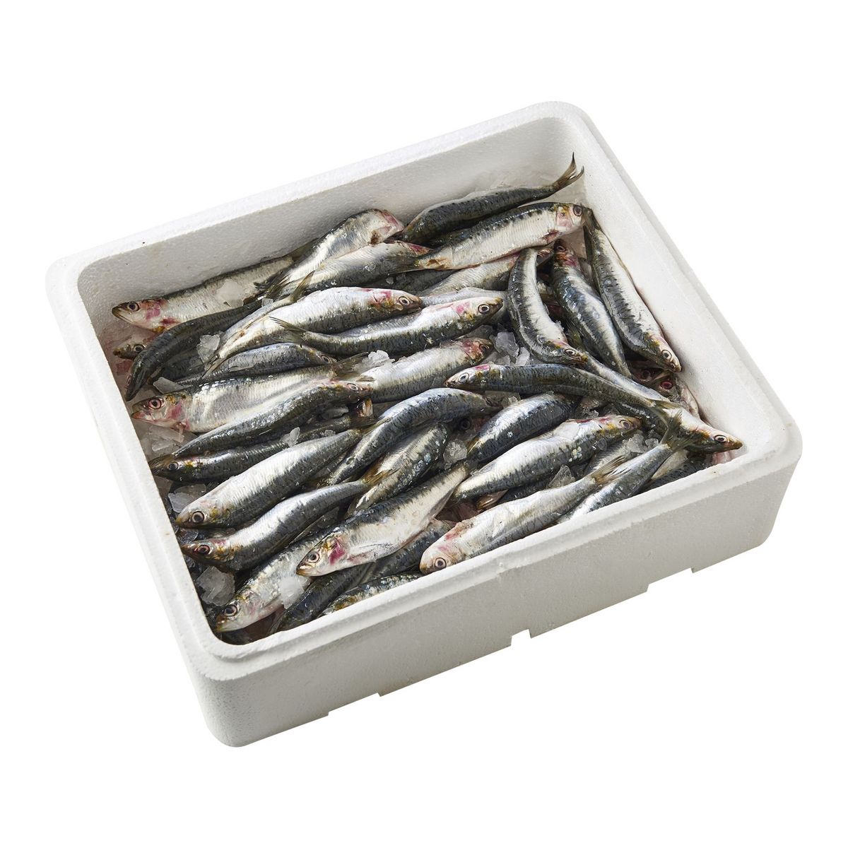 Poisson Voisin De La Sardine 5 Lettres LA MARÉE DU JOUR La Marée du Jour Sardines Atlantique Nord Est caisse 4kg  4kg pas cher - Auchan.fr