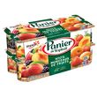 Yoplait PANIER DE YOPLAIT Yaourt 100% morceaux de fruits fraise mûre pêche abricot