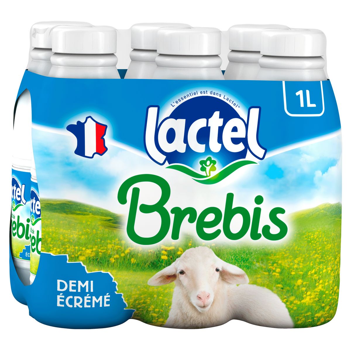 Lait poudre bebe brebis